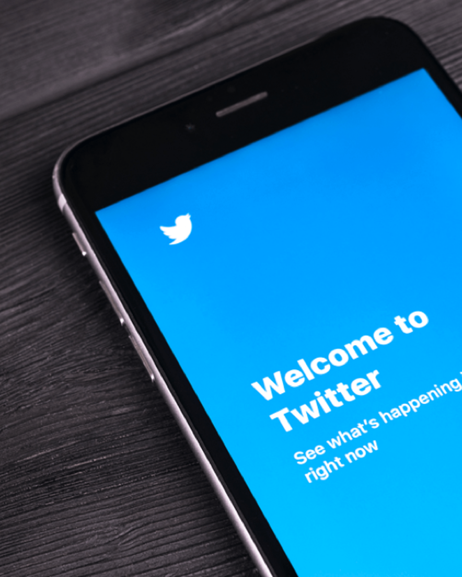 The Best Overall Twitter Accounts to Follow