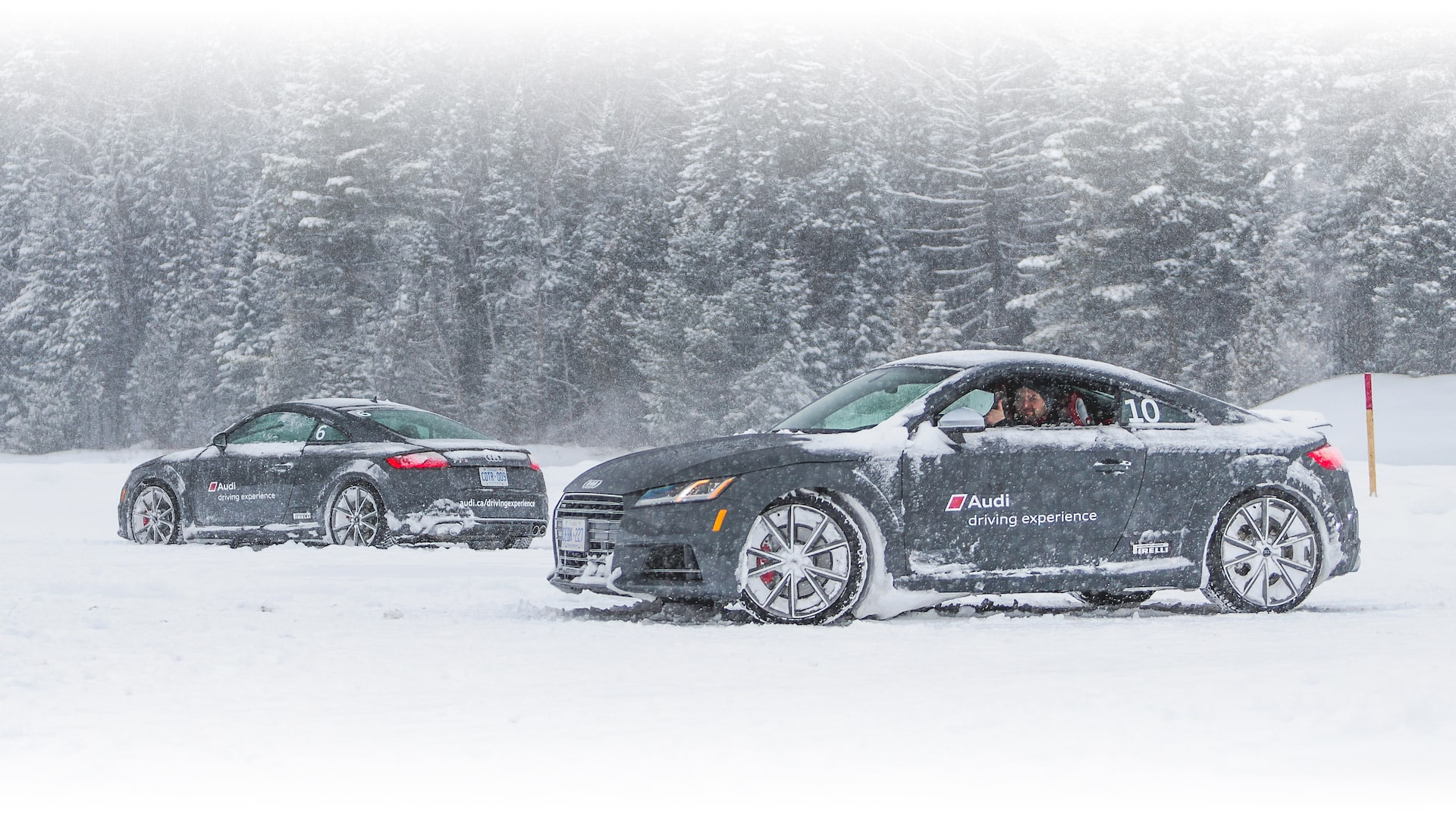 Max Parrot x Audi Ice Experience